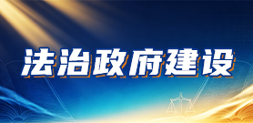 法治政府建设